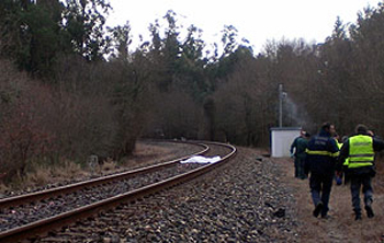 accidente tren peregrino