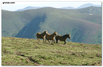 Ruta Hospitales Primitivo