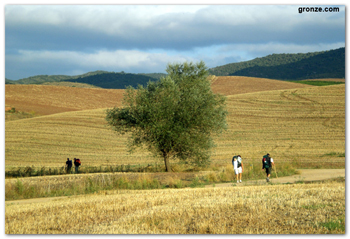 masificacion camino santiago