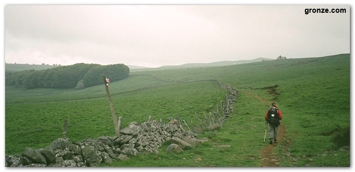 aubrac