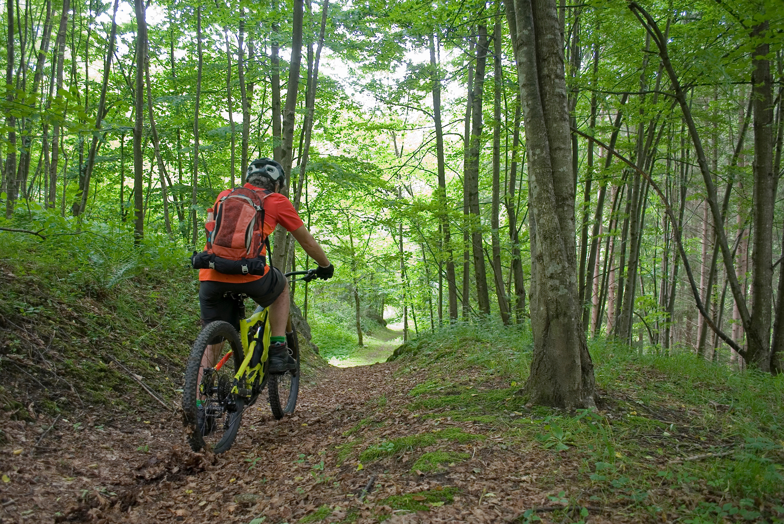 Alquiler bicicleta electrica para el Camino de Santiago