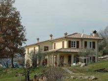 Le Querce di Tara, La Foresta