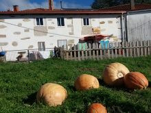 Albergue A Casiña di Marcello, Palas de Rei