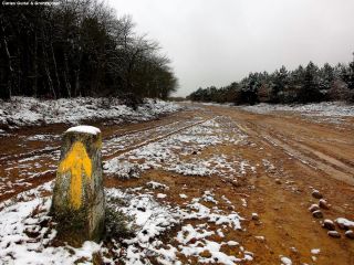 Montes de Oca