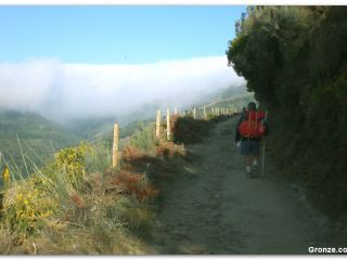 Subida al O Cebreiro