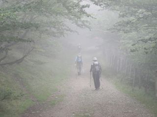 Peregrinos en la niebla