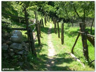 Senda del Camino Primitivo