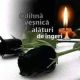 Imagen de Viorica Raducan