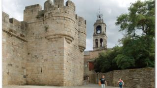 Castillo de los Condes de Benavente, Puebla de Sanabria