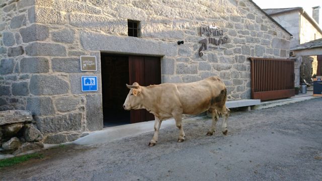 Albergue A Pociña de Muñiz, Vilar de Cas