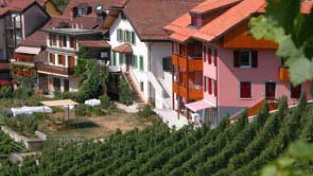 B&B Alexandre Chappuis & Fils, Rivaz