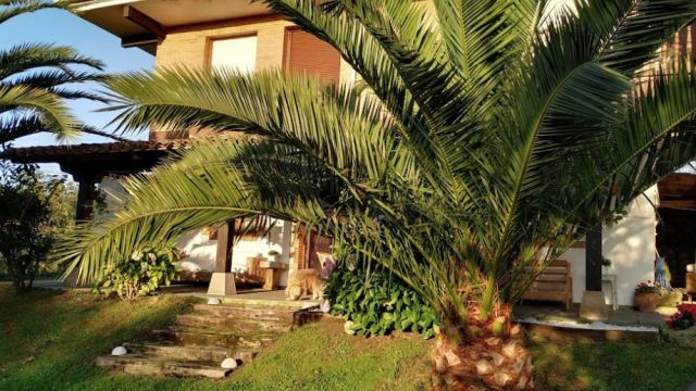 Apartamentos Kety, Serdio