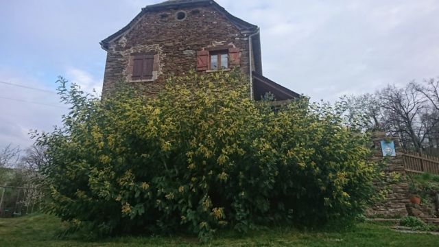 Chambre d'hôtes de Montbigoux