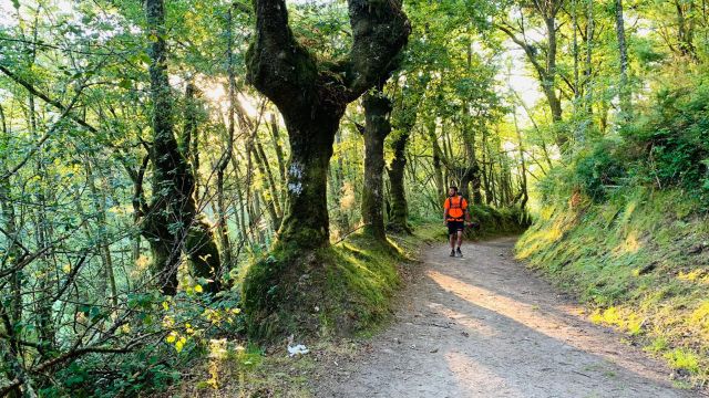 Por los bosques de Galicia.
