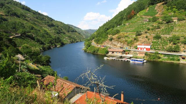 Vista sobre el Miño y el embarcadero fluvial de Belesar