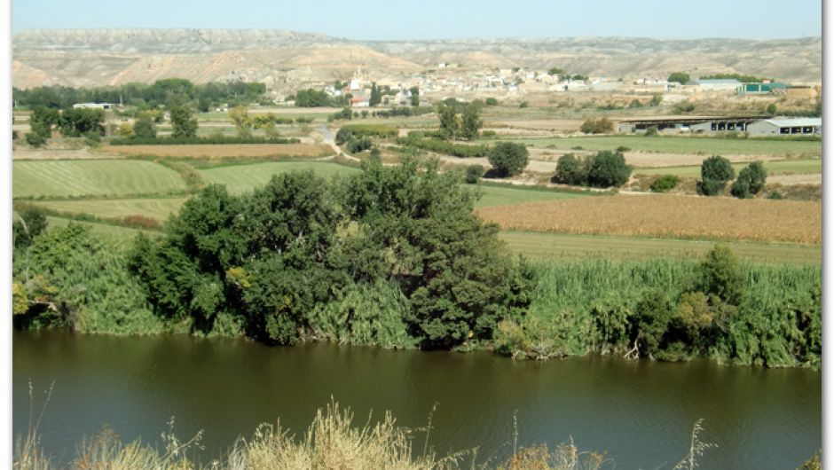 Alborge desde Sástago