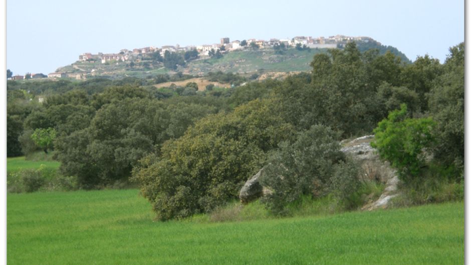 Berbegal