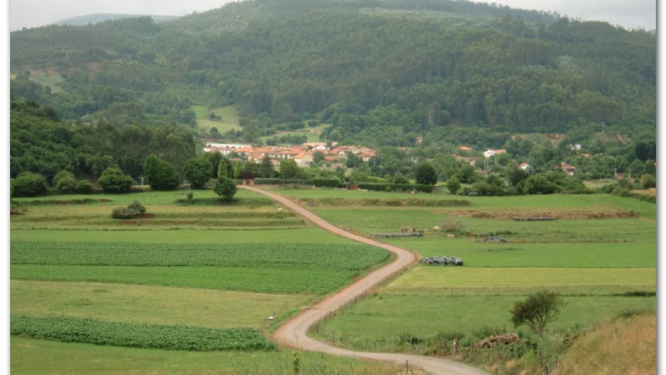 De camino a Cigüenza