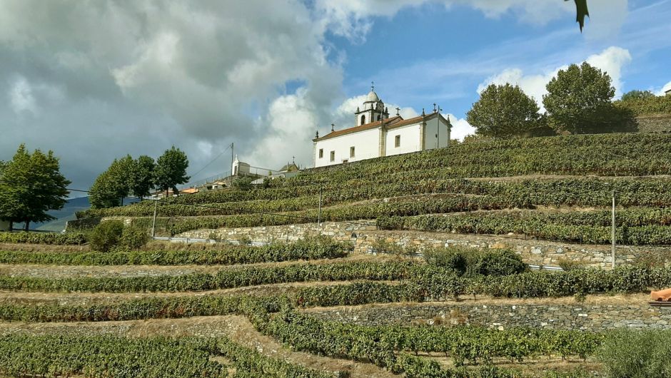 Los viñedos del Douro, un paisaje declarado Patrimonio Mundial por la Unesco