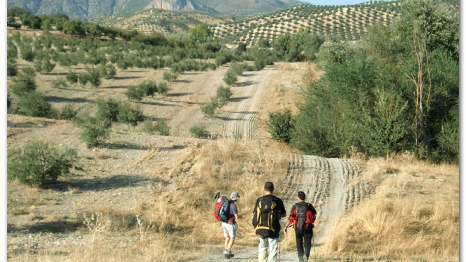 De camino a Olivares (Granada) De camino a Olivares (Granada)