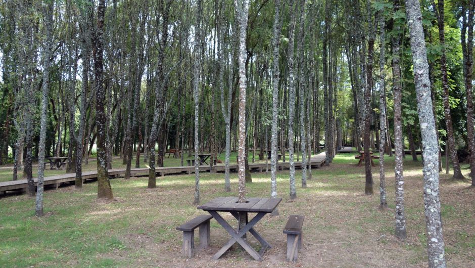 Parque das Nogueiras, Mortágua