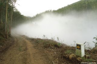 Niebla en el valle, de camino a Miou