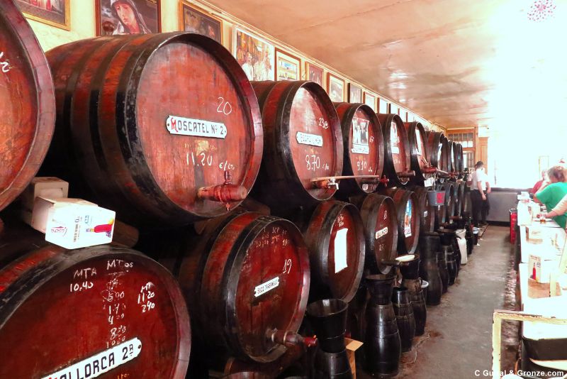 Antigua Casa de Guardia, la bodega más veterana de Málaga Antigua Casa de Guardia, la bodega más veterana de Málaga