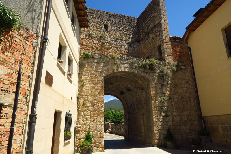 Portal de la muralla de Salinillas de Buradón Portal de la muralla de Salinillas de Buradón