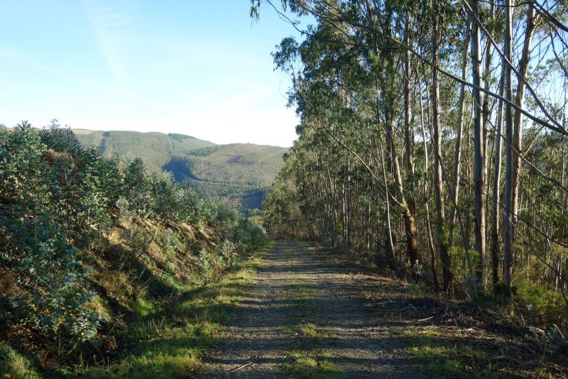 Un tramo por el monte, de la variante de Trabada, entre A Trapa y San Tomé de Lourenzá