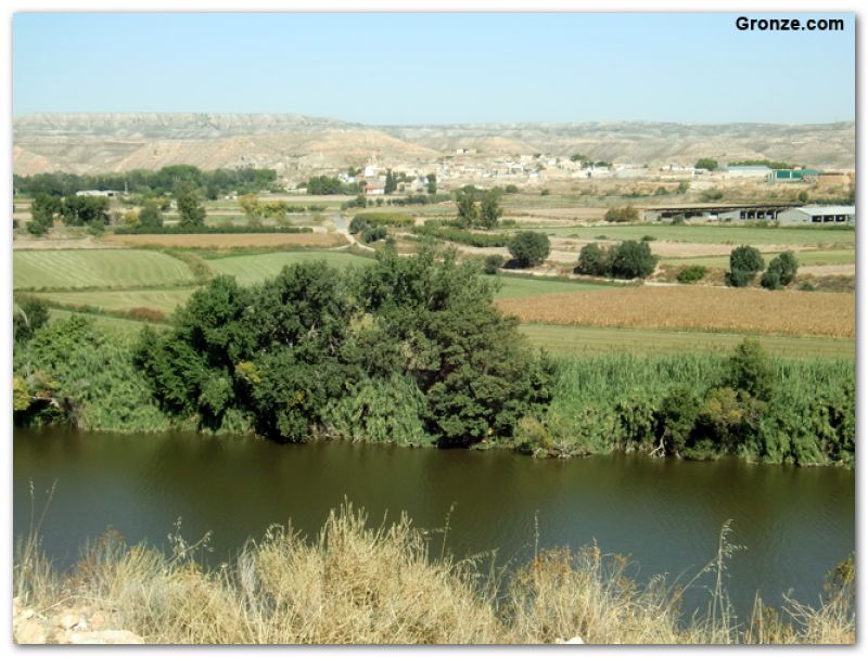 Alborge desde Sástago