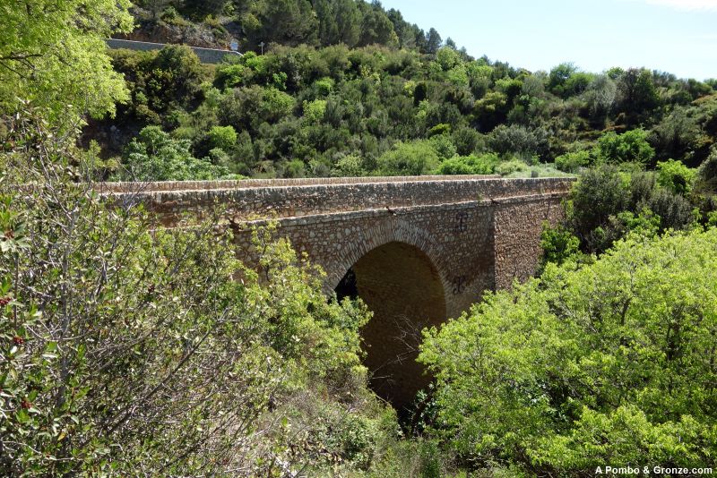 Puente viejo sobre el Rouvignous, Arboras
