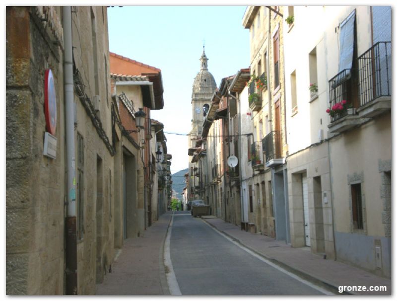 La Puebla de Arganzón
