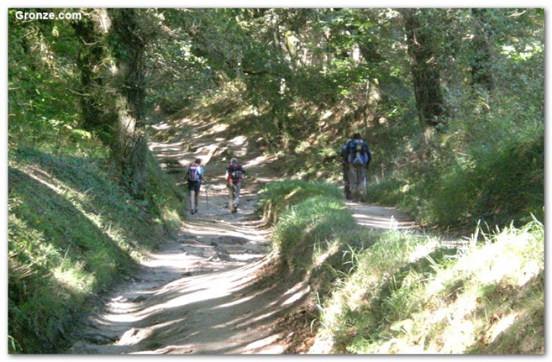 De camino a Arzúa