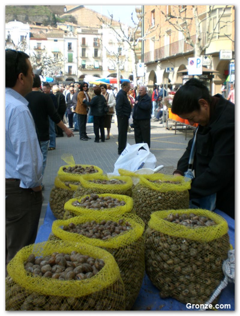 Plaza del Mercadal, Balaguer