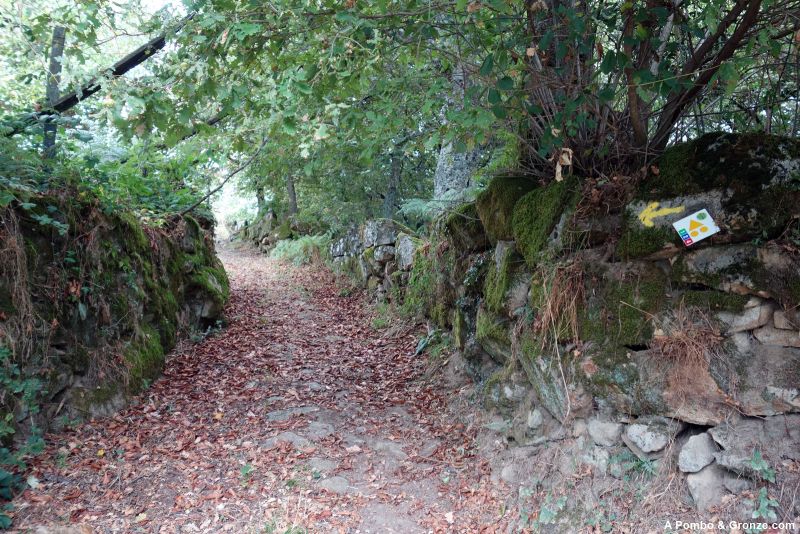 De Baltar de Cima a Vila Pouca