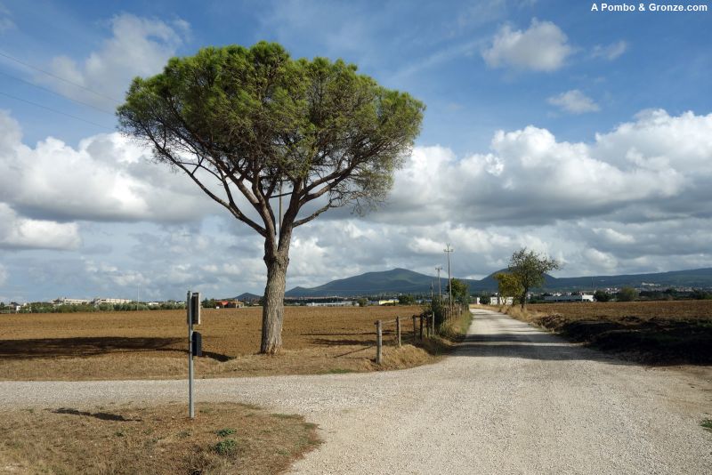 De Terme del Bagnaccio a Viterbo
