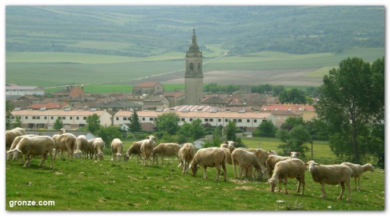 Berantevilla