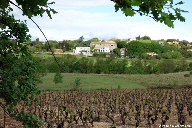 Llegada a La Boissière entre viñas