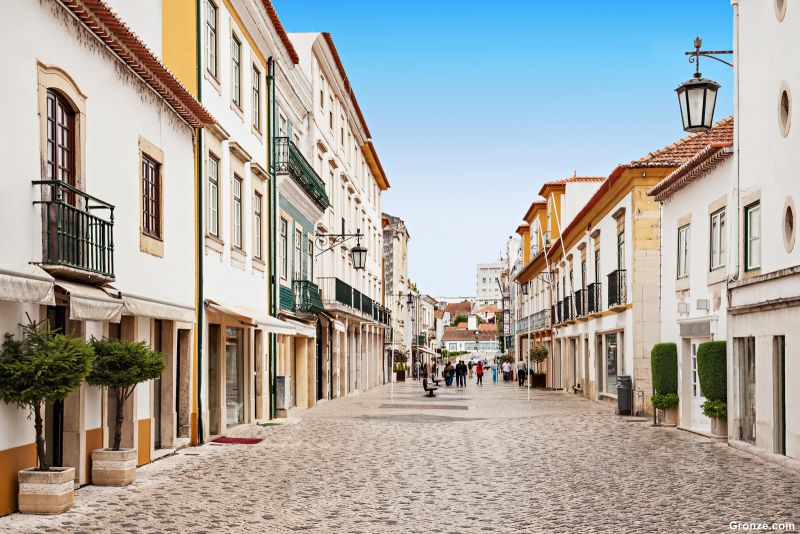 Calle peatonal en Tomar
