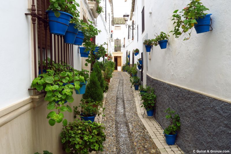 Calleja florida en el casco antiguo de Castro del Río