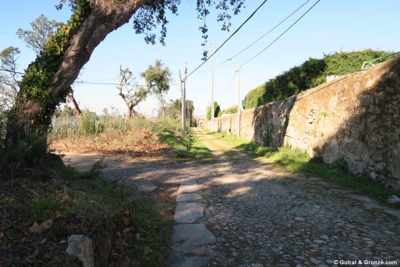 Corto tramo de calzada romana en Malaposta