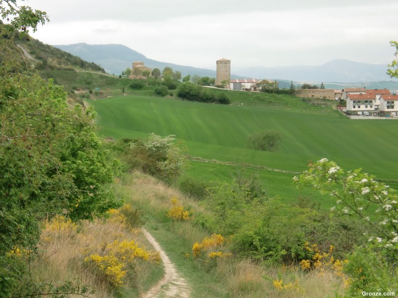 De camino a Yárnoz