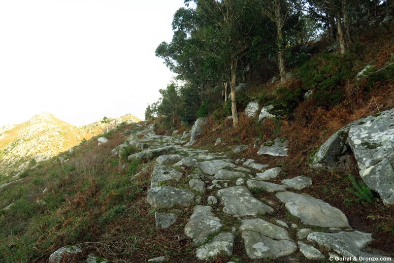 Preciosa subida de camino hacia Baiona