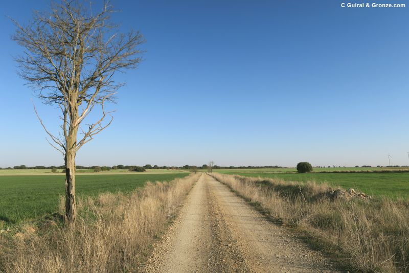 Camino hacia Castromonte