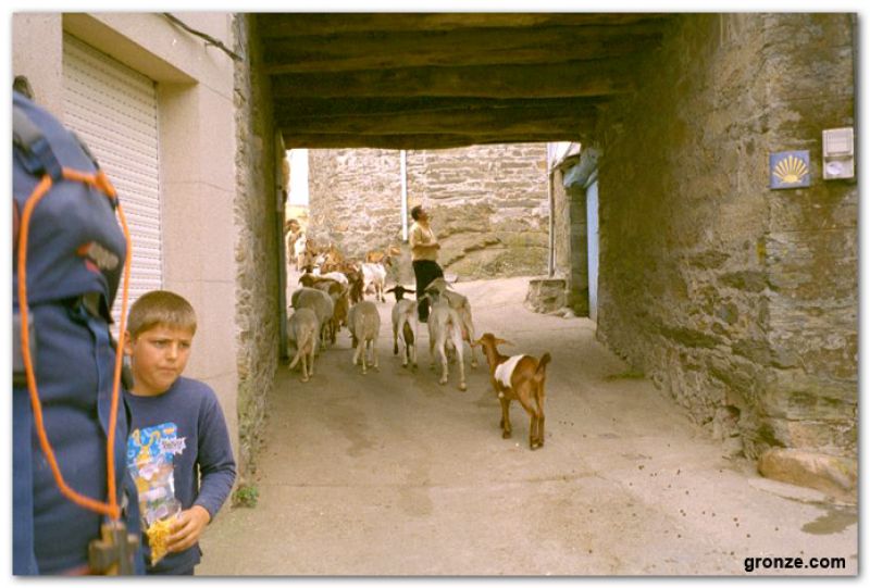 Campobecerros