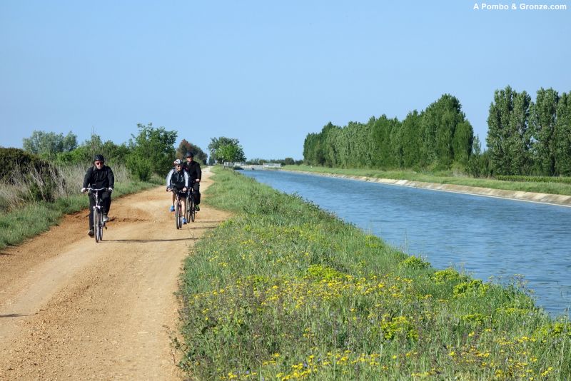 Canal du Bas-Rhône, de camino a Vauvert