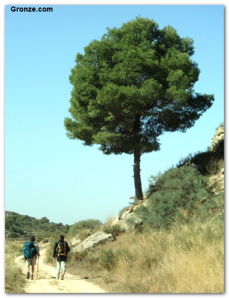 De camino a Caspe