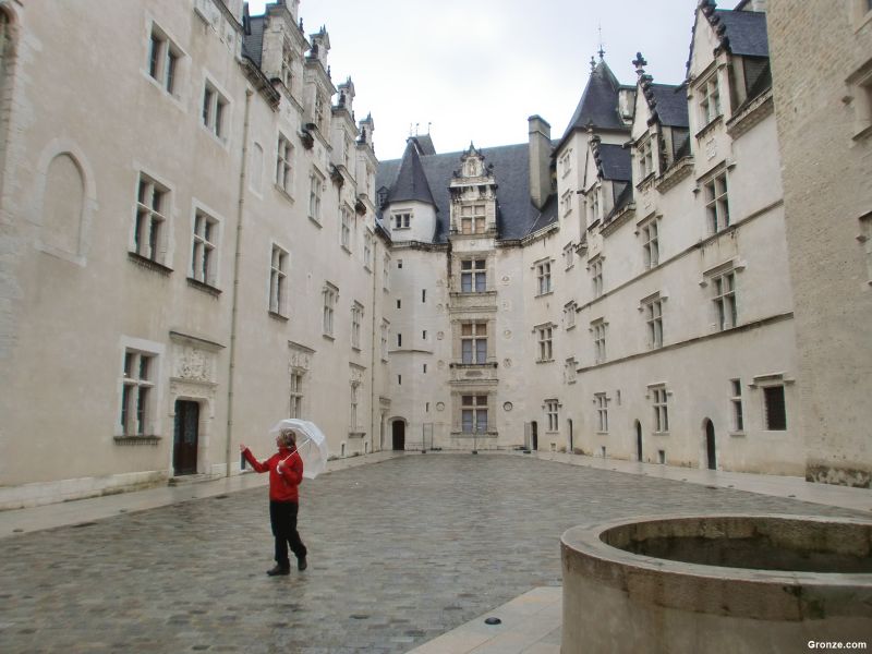 Castillo de Pau