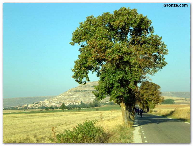 De camino a Castrojeriz De camino a Castrojeriz