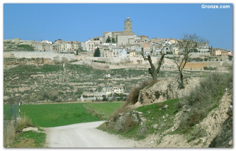 Cervera Cervera